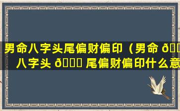 男命八字头尾偏财偏印（男命 🍀 八字头 🕊 尾偏财偏印什么意思）